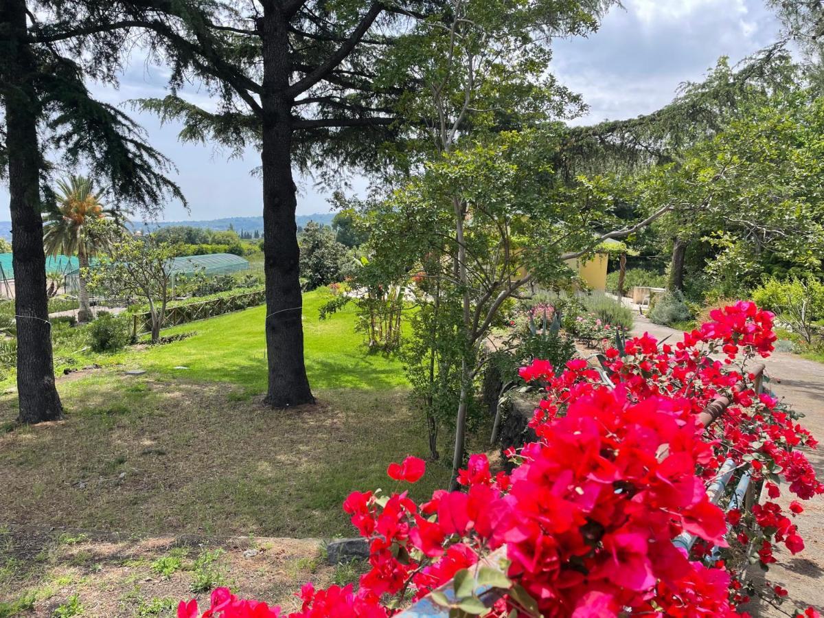 Villa Palm Hill Piedimonte Etneo Buitenkant foto