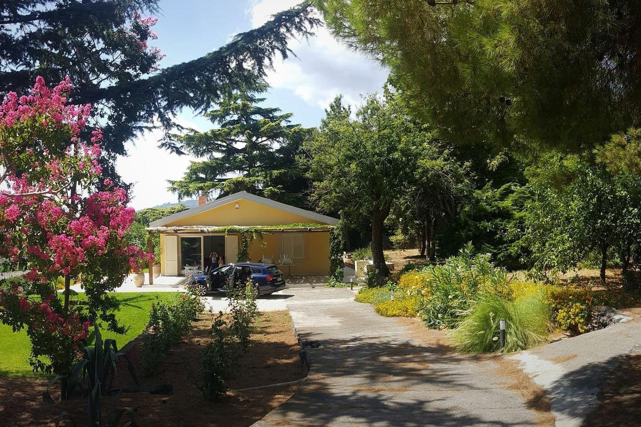 Villa Palm Hill Piedimonte Etneo Buitenkant foto