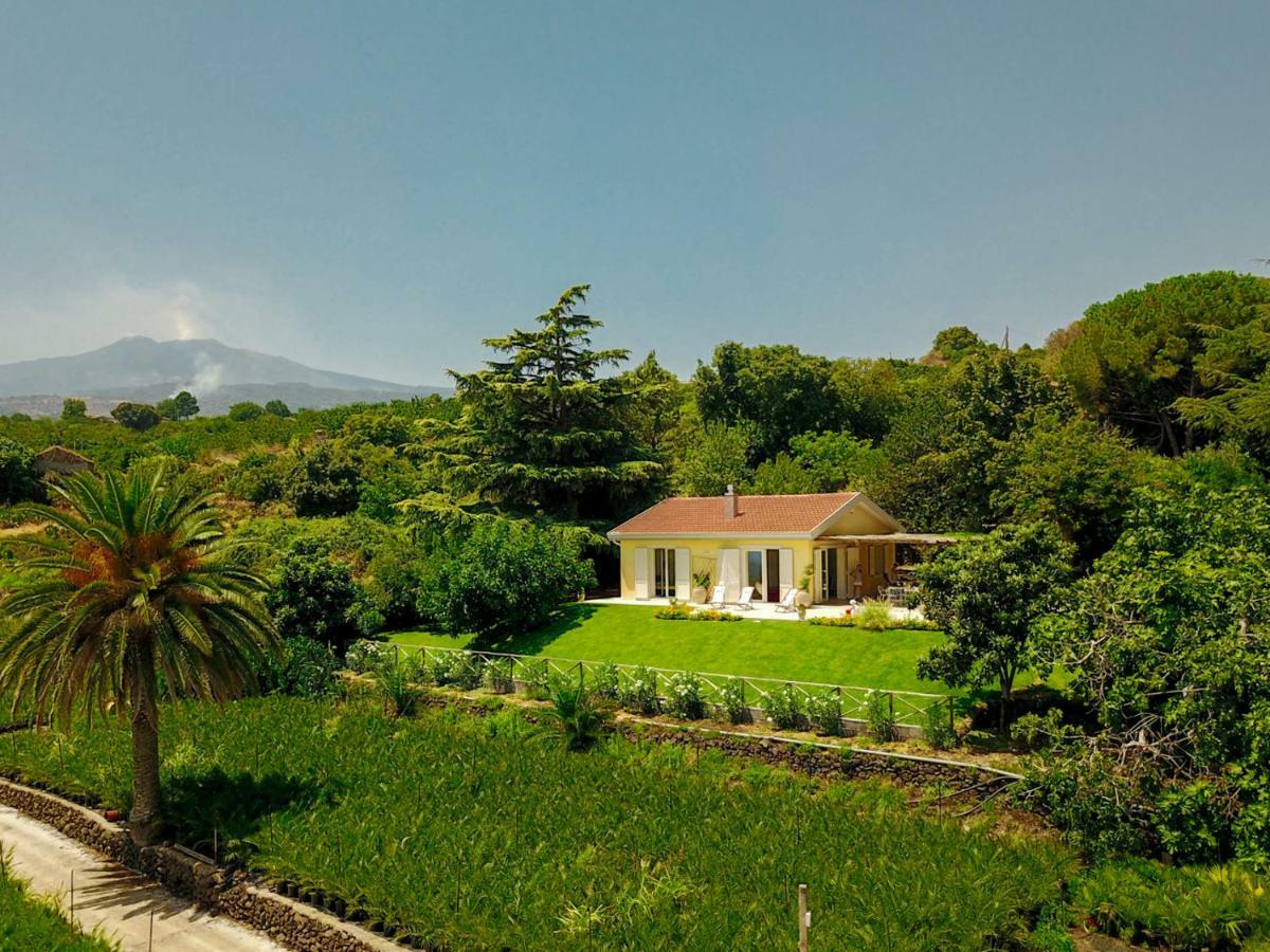 Villa Palm Hill Piedimonte Etneo Buitenkant foto